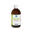 Nutergia Ergysil Solution 500ml | Nom de la Pharmacie en variable