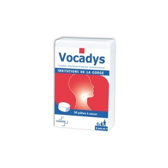 Vocadys irritations buccales boîte de 30 pâtes buccales