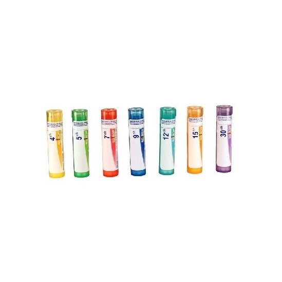 Sepia Officinalis Granules 4g | Nom de la Pharmacie en variable