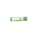 Borax Granules 5CH 4g | Nom de la Pharmacie en variable