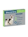 Biocanina ascatène 10 comprimés