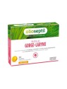 Olioseptil pastilles gorge miel citron x24