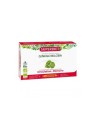 Superdiet Ginkgo Biloba bio complément alimentaire 20 ampoules 300ml