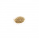 PSYLLIUM BLOND 250G BIO EXOPHARM