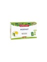 PISSENLIT SUPERDIET FLUID AMP20