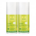Weleda citrus déodorant roll-on 24h duo 50ml