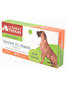 CLEMENT T STRANTEL XL VERM CHIENS BTE 2