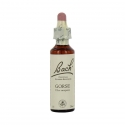 Fleurs de bach gorse 20ml - COMPLEMENTS ALIMENTAIRES