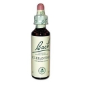 Fleurs de bach scleranthus 20ml - COMPLEMENTS ALIMENTAIRES