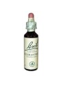 Fleurs de bach scleranthus 20ml - COMPLEMENTS ALIMENTAIRES
