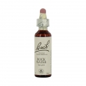 Fleurs de bach rock water 20ml - COMPLEMENTS ALIMENTAIRES