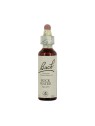 Fleurs de bach rock water 20ml - COMPLEMENTS ALIMENTAIRES