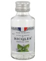Ricqlès Alcool de Menthe 50 ml