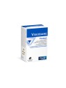 Pileje Visiobiane Protect 30 capsules