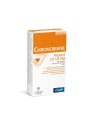 PILEJE CHRONOBIANE LD 1,9 45 CP