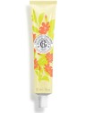 ROGER & GALLET Crème Mains Bienfaisante Fleur D'Osmanthus 30ml