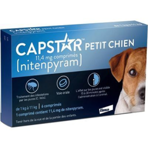CAPSTAR CHIEN PETIT 11.4MG CPR BTE 6