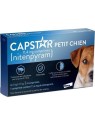 CAPSTAR CHIEN PETIT 11.4MG CPR BTE 6