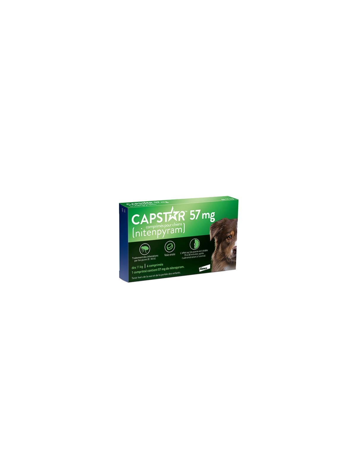 CAPSTAR CHIEN GRAND 57MG CPR BTE 6