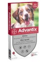 Bayer Advantix Chien 10 à 25 Kg 4 Pipettes