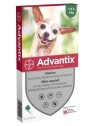 Bayer Advantix Très Petit Chien Jusqu'à 4kg 4 Pipettes