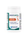 Nutergia ergycartil flex boite de 90 géllules