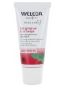 Weleda Gel gingival à la sauge tube 30ml