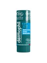 DERMOPHIL Stick Levres Protection Levres Dessechees 4g