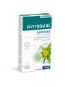 PILEJE Phytobiane Rhodiole 30 comprimés