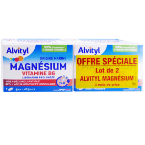 ALVITYL Magnésium Vitamine B6 2x45 Comprimés