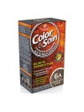 Color&Soin 6A Blond Foncé Cendré