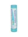 BOIRON Hamamelis Composé Tube Granules 4G