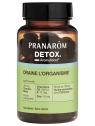 PRANAROM Aromaboost Détox 60 Capsules