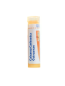 Boiron calcarea carbonica ostrearum granules 15CH 4g | Nom de la...