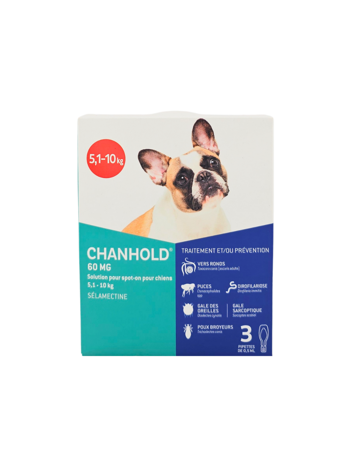 CLEMENT THEKAN Chanhold 60Mg Chiens 5,1-10kg Boite de 3 Pipettes