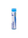 Boiron arnica montana granules 4g | Nom de la Pharmacie en variable