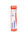 Arnica Montana Granules 7CH 4g | Nom de la Pharmacie en variable